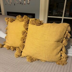 2 Tassel Throw Pillows -perfect . One missing one tassel